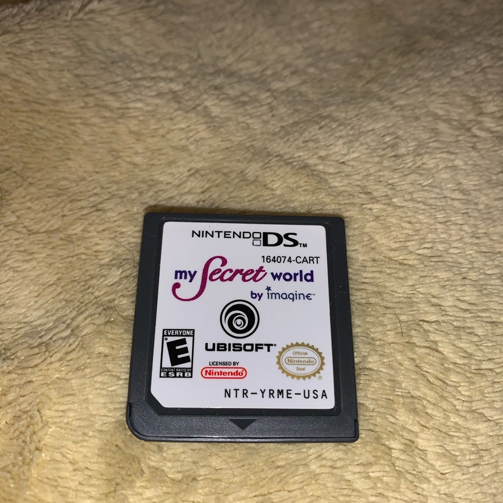 Nintendo DS game